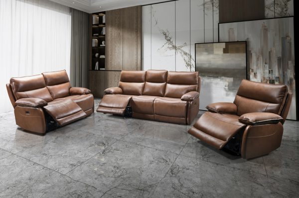 Ireland Genuine Full Grain Leather Reclining Collection: Cognac/Grey